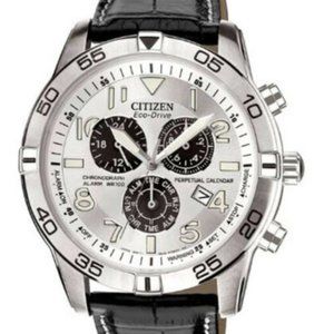 SALE! Citizen Perpetual 44mm Multi Dial Watch